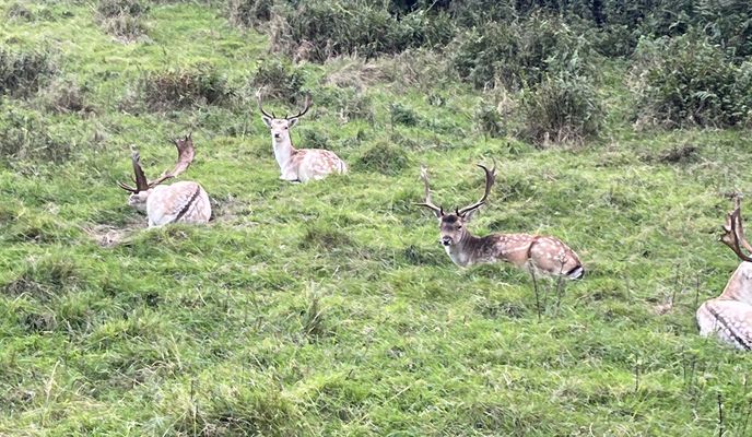 Foto 1 der Bikemap-Route "Hope Street, Bo'Ness to Ashburnham Road, South Queensferry"