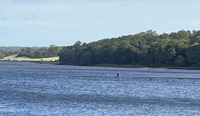 Foto 2 der Bikemap-Route "Hope Street, Bo'Ness to Ashburnham Road, South Queensferry"