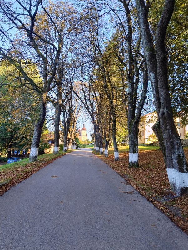 Bildbaumweg nach Bildbaumweg