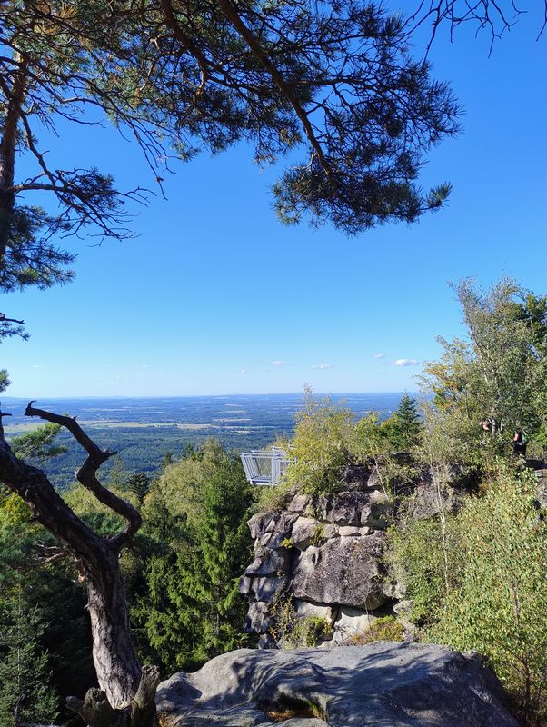 Bildbaumweg nach Bildbaumweg