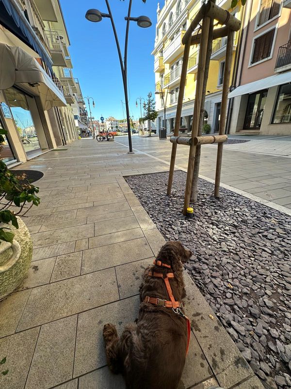 Molzbichl nach Molzbichl