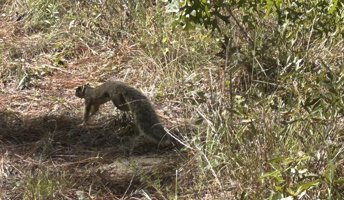 Foto 1 de la ruta de Bikemap "Twin Pond Road, Brooksville to Croom Rital Rd, Brooksville"