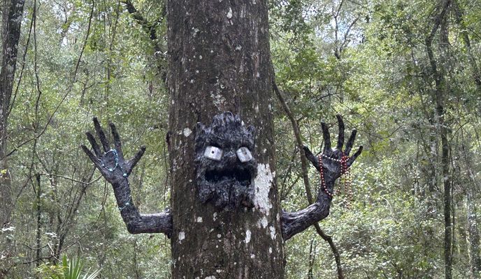 Foto 2 de la ruta de Bikemap "Twin Pond Road, Brooksville to Croom Rital Rd, Brooksville"