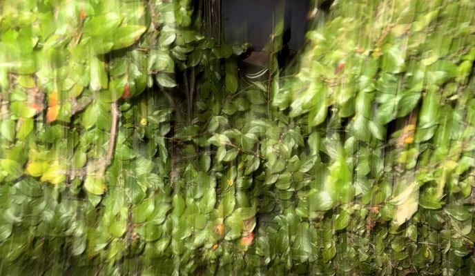 Foto 1 der Bikemap-Route "Sporta iela, Seda до Sporta iela, Seda"