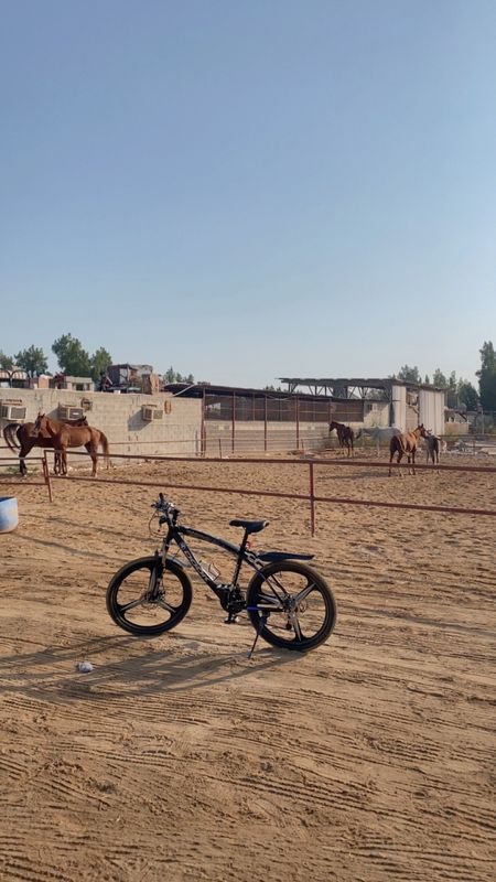 Northern Governorate to Northern Governorate