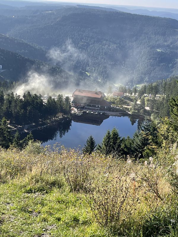 Wasenweg, Bühl nach Wasenweg, Bühl