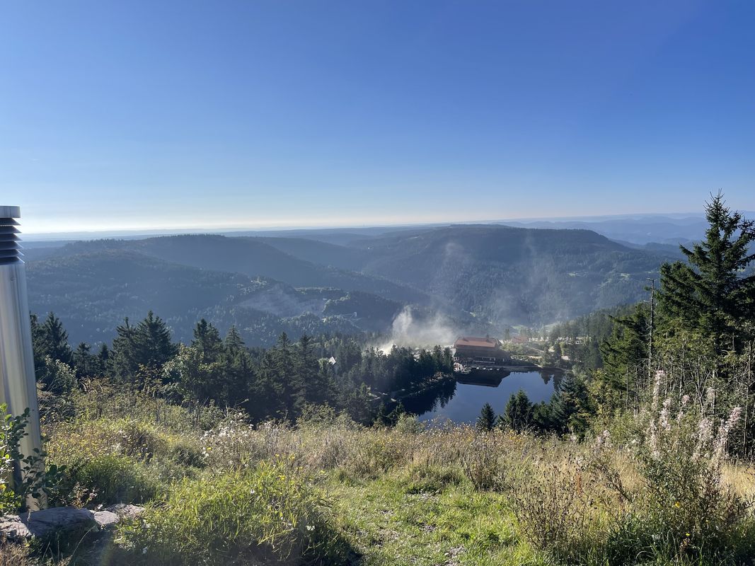 Wasenweg, Bühl nach Wasenweg, Bühl