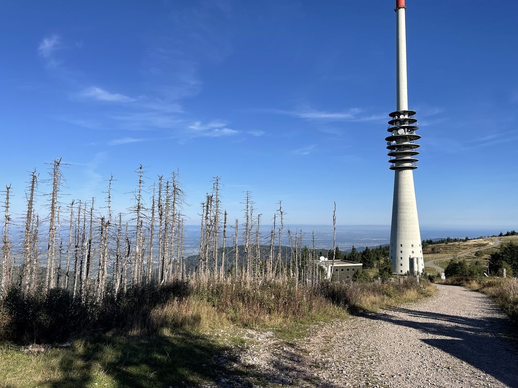 Wasenweg, Bühl nach Wasenweg, Bühl