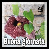 Da Via Giordano Bruno B a Via Arduino 46/C