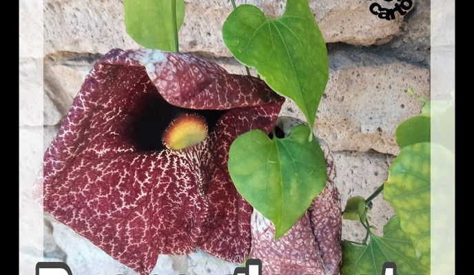 Zdjęcie 1 trasy Bikemap „Da Via Giordano Bruno B a Via Arduino 46/C”