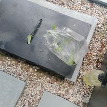 Jalan Ganesha Boulevard to Jalan Ganesha Boulevard