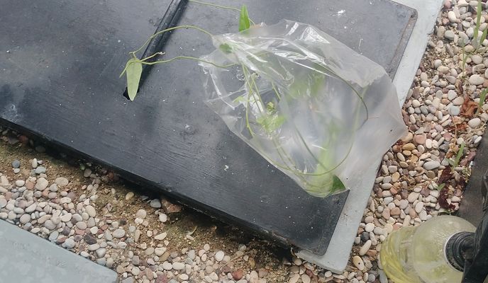 Foto 1 de la ruta de Bikemap "Jalan Ganesha Boulevard to Jalan Ganesha Boulevard"