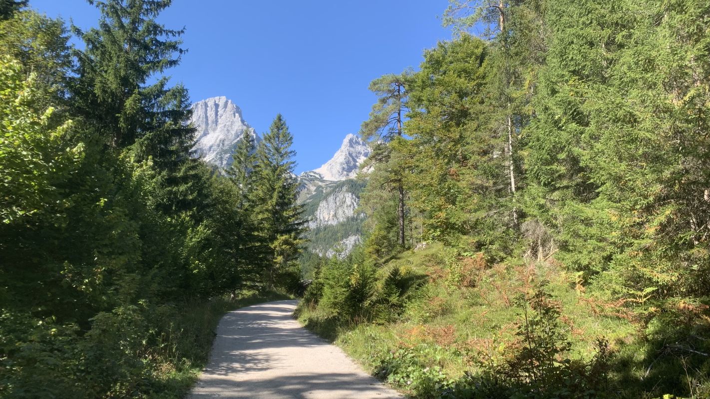 OBK 250919 Baumschlagerreit