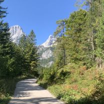 OBK 250919 Baumschlagerreit