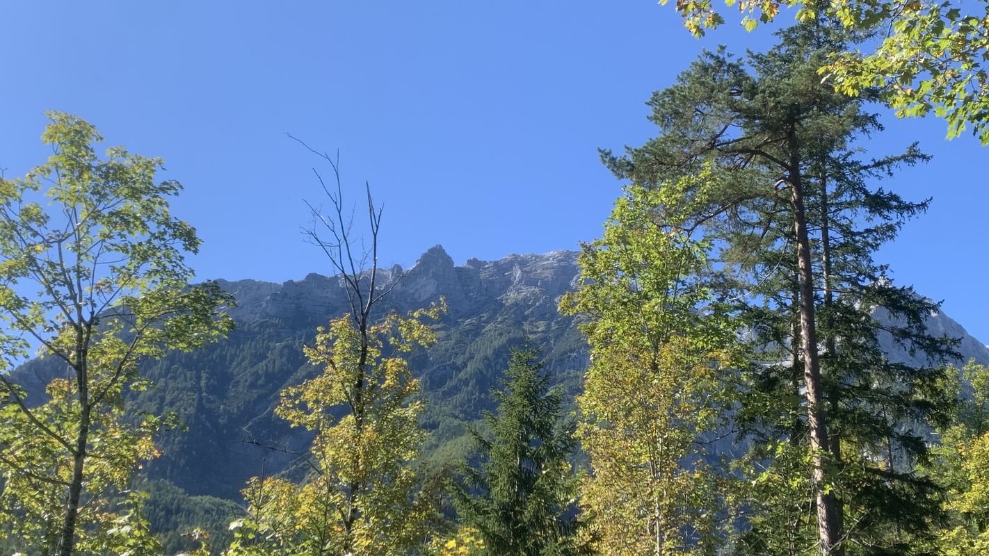 OBK 250919 Baumschlagerreit