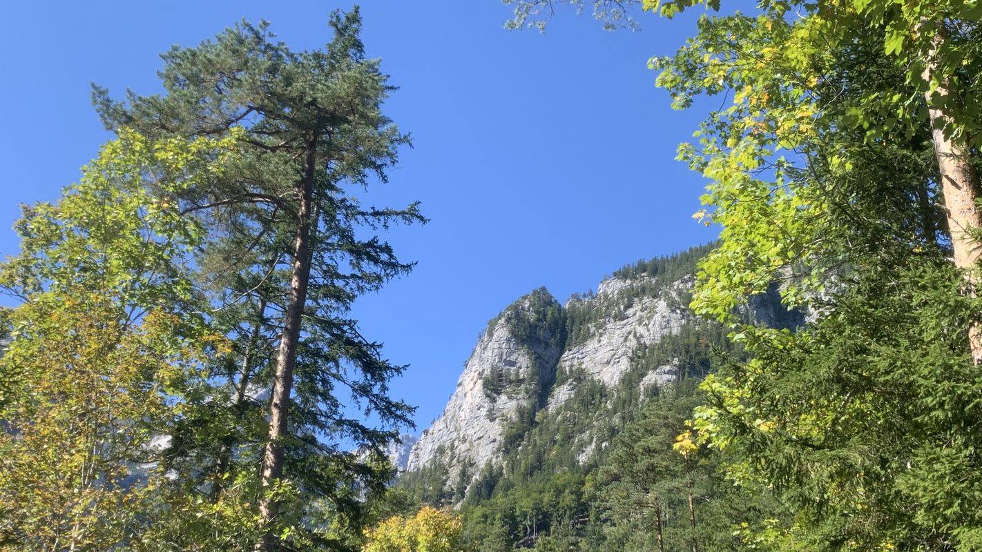 OBK 250919 Baumschlagerreit