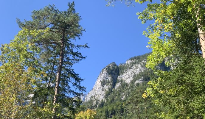 Photo 2 of the Bikemap route "OBK 250919 Baumschlagerreit"