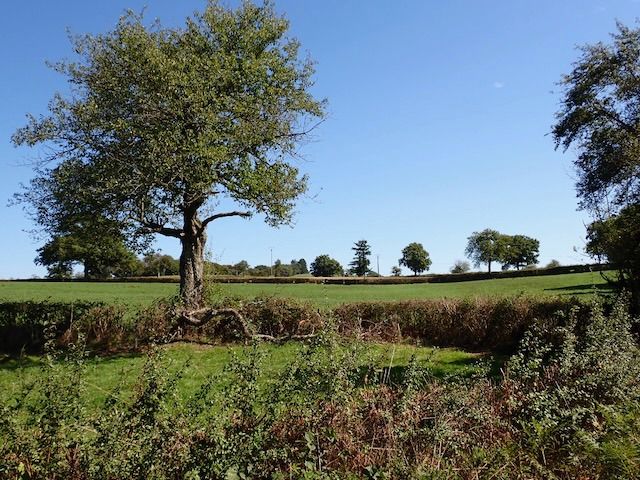 Bourbon-Lancy to Toulon-sur-Arroux