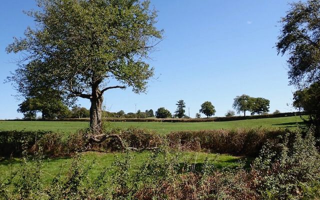 Foto 1 der Bikemap-Route "Bourbon-Lancy to Toulon-sur-Arroux"