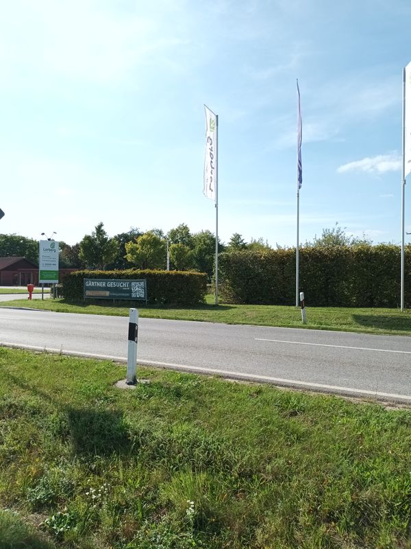 Unter den Kiefern 7a nach Unter den Kiefern