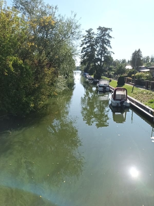 Unter den Kiefern 7a nach Unter den Kiefern