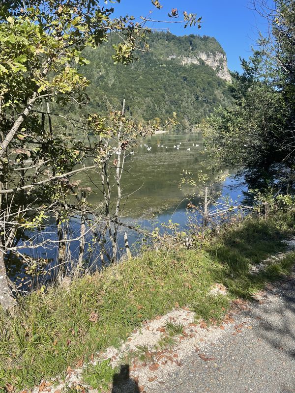 Westuferstraße, St. Kanzian am Klopeiner See nach Westuferstraße, St. Kanzian am Klopeiner See