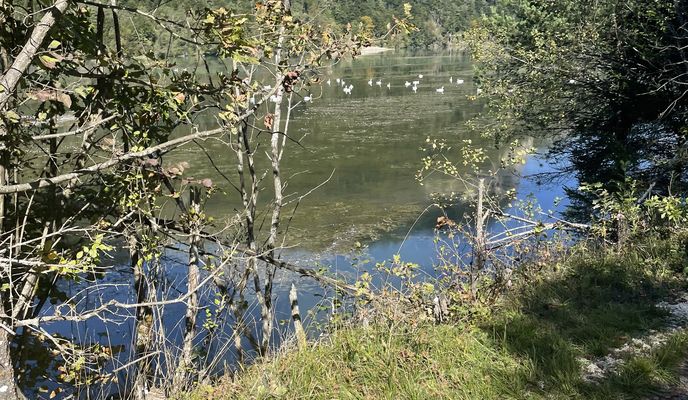 Foto 1 der Bikemap-Route "Westuferstraße, St. Kanzian am Klopeiner See nach Westuferstraße, St. Kanzian am Klopeiner See" Foto 1 der Bikemap-Route "Westuferstraße, St. Kanzian am Klopeiner See nach Westuferstraße, St. Kanzian am Klopeiner See"