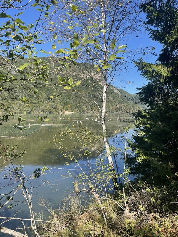 Westuferstraße, St. Kanzian am Klopeiner See nach Westuferstraße, St. Kanzian am Klopeiner See