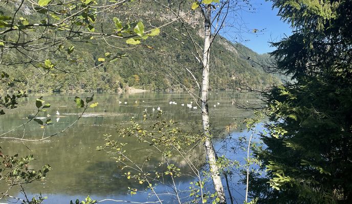 Foto 2 der Bikemap-Route "Westuferstraße, St. Kanzian am Klopeiner See nach Westuferstraße, St. Kanzian am Klopeiner See" Foto 2 der Bikemap-Route "Westuferstraße, St. Kanzian am Klopeiner See nach Westuferstraße, St. Kanzian am Klopeiner See"