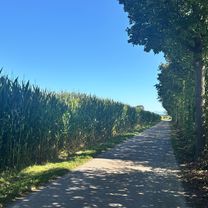 Photo 8 of the Bikemap route "Lamprechtshausen – Oberer Weilhartsforst – Burghausen – Tittmoning – Salzburg"