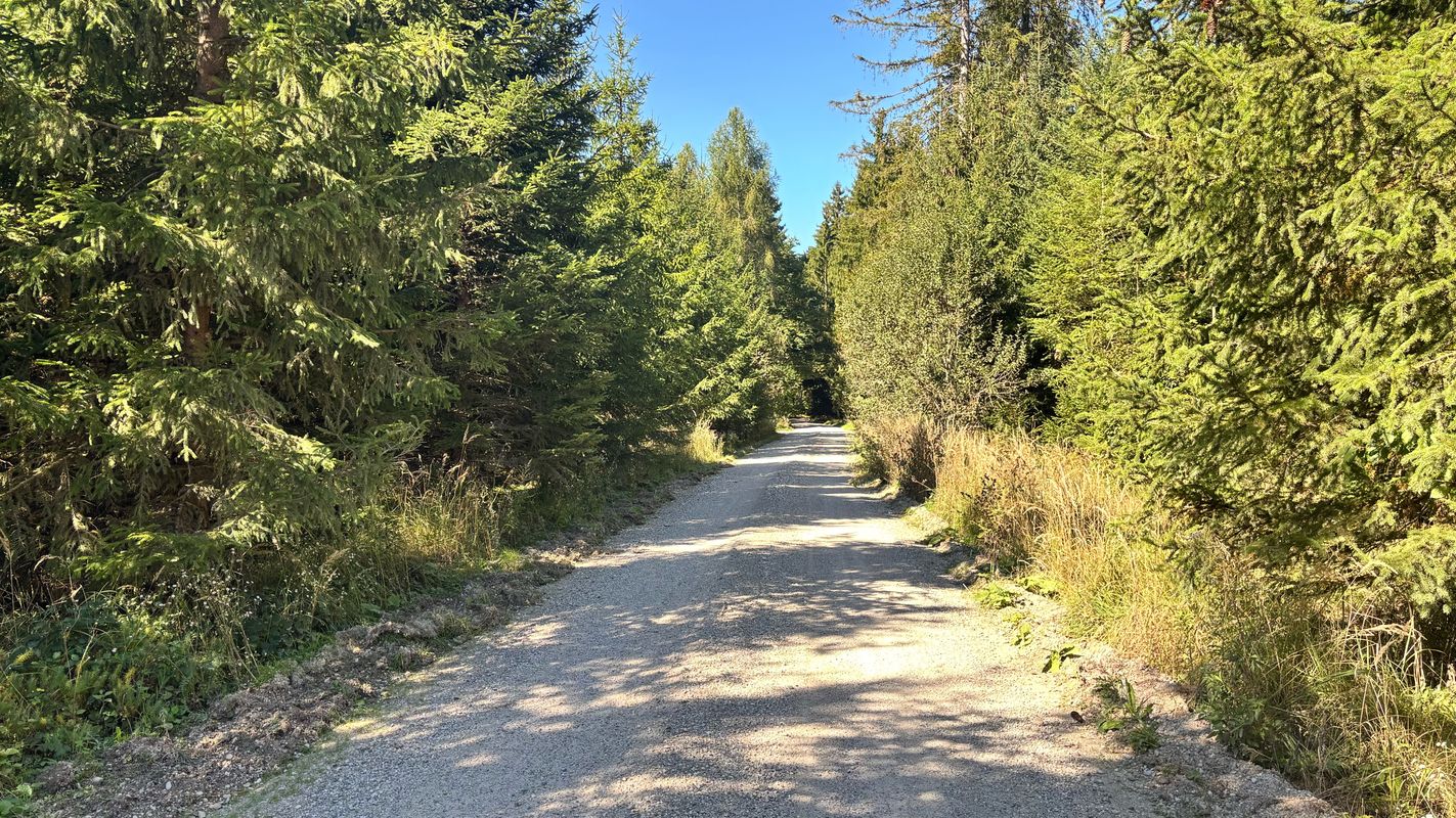 Lamprechtshausen – Oberer Weilhartsforst – Burghausen – Tittmoning – Salzburg