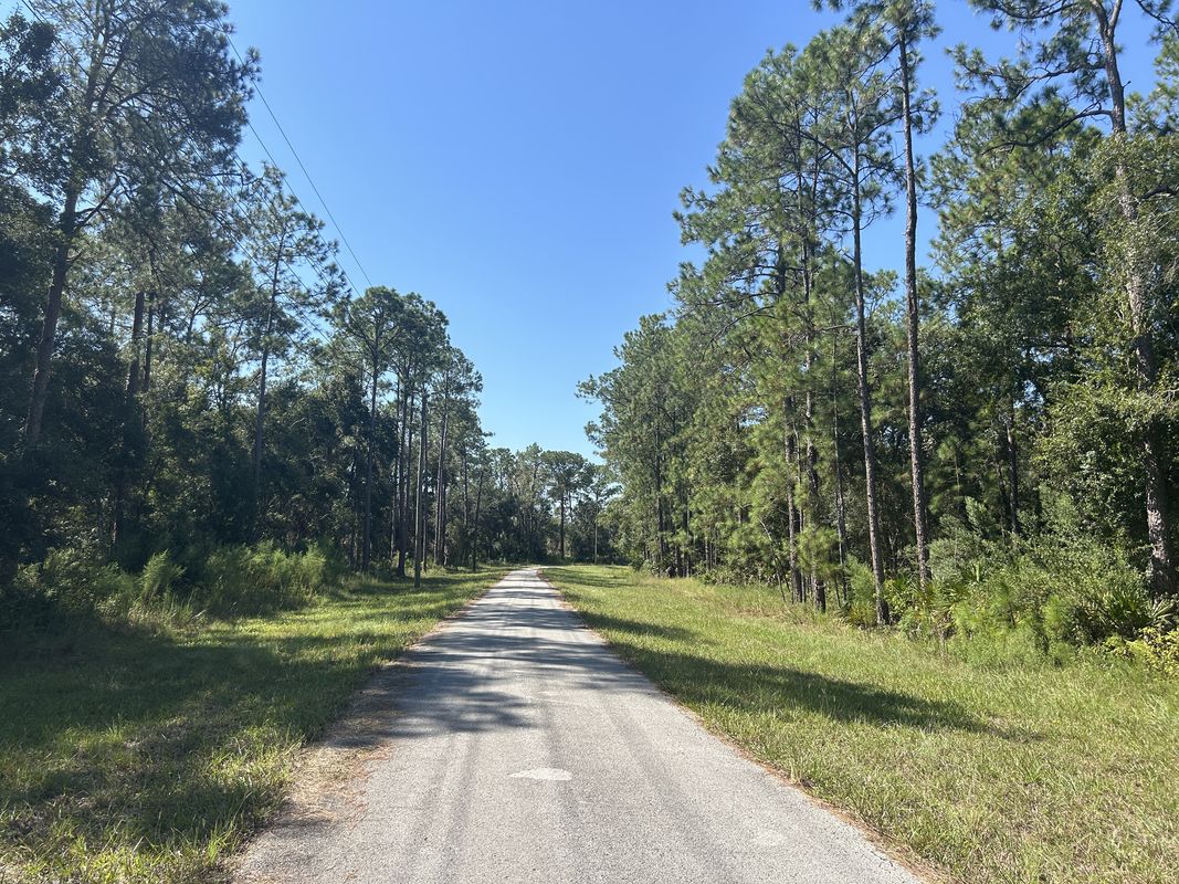Pump Station Rd, Land O Lakes to Pump Station Rd, Land O Lakes