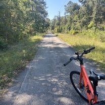 Pump Station Rd, Land O Lakes to Pump Station Rd, Land O Lakes