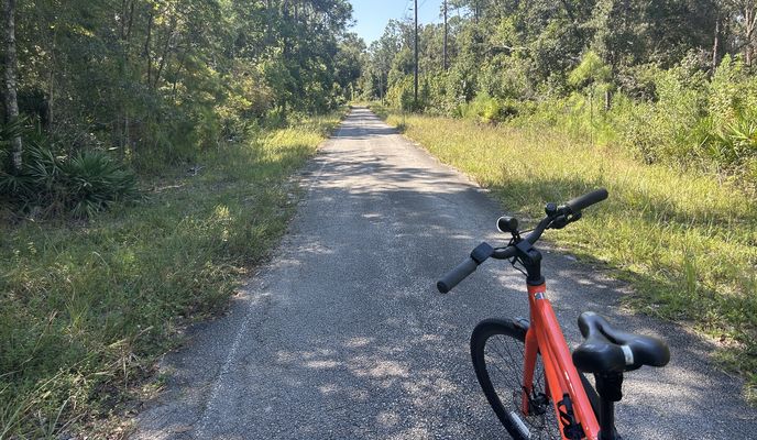 Foto 1 der Bikemap-Route "Pump Station Rd, Land O Lakes to Pump Station Rd, Land O Lakes"
