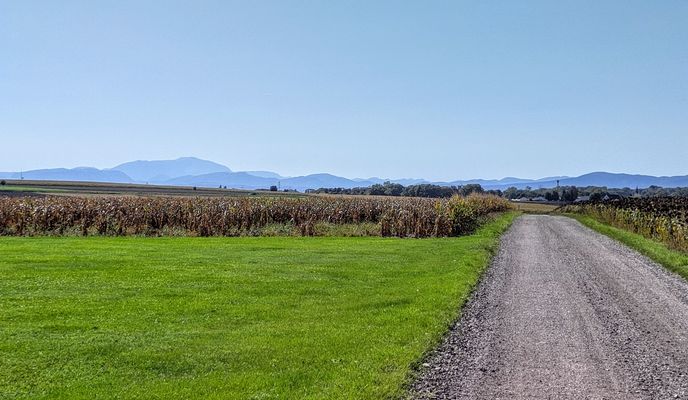 Photo 2 of the Bikemap route "Gramatneusiedl-graveln nach Wien"