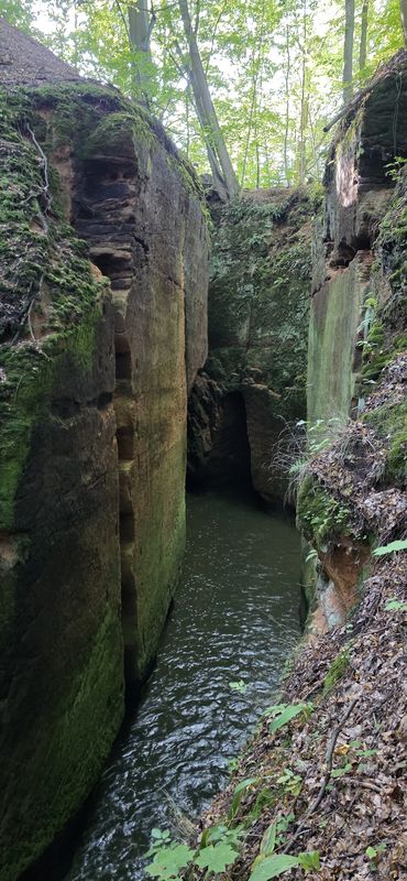 От Křižany до Křižany