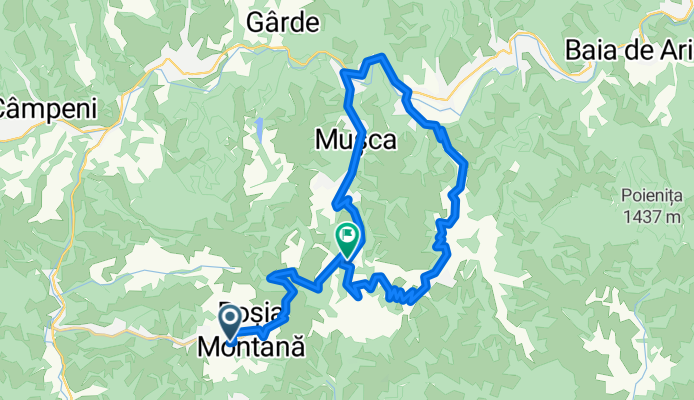 From Roșia Montană to Lupșa