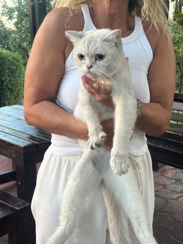 333. Sokak to 322. Sokak