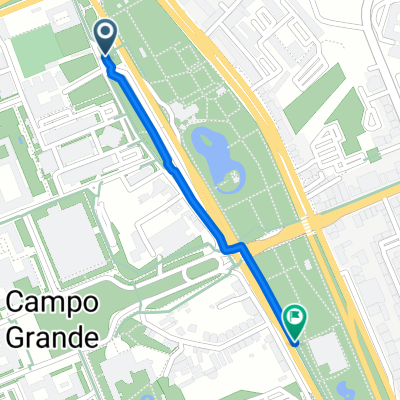 De Campo Grande a Campo Grande
