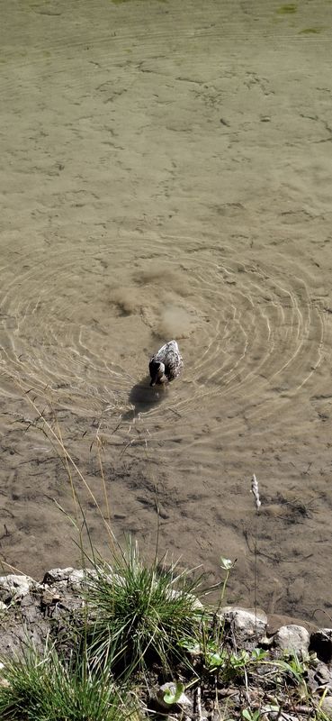 Via Guglielmo Marconi 3a - Cimabanche