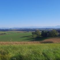 grieskirchen, St.Georgen, meggenhofen, gallspach, dingbach