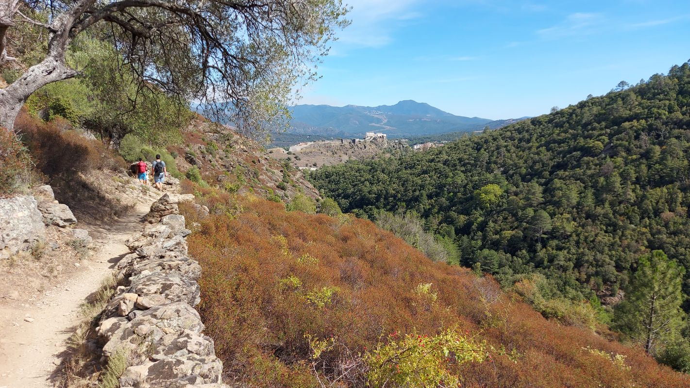 Place Paoli nach 844H+JP