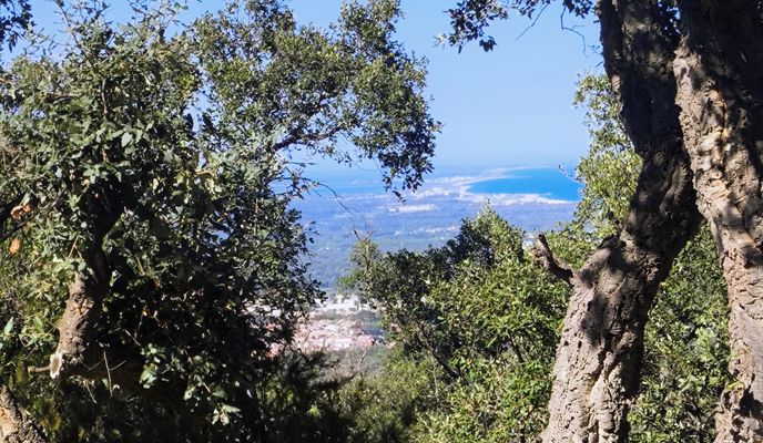 Foto 2 del percorso Bikemap "66 Argelès : Château-de-Valmy Dolmen-dels-Collets-de-Cotlliure Mas-de-l'ours"