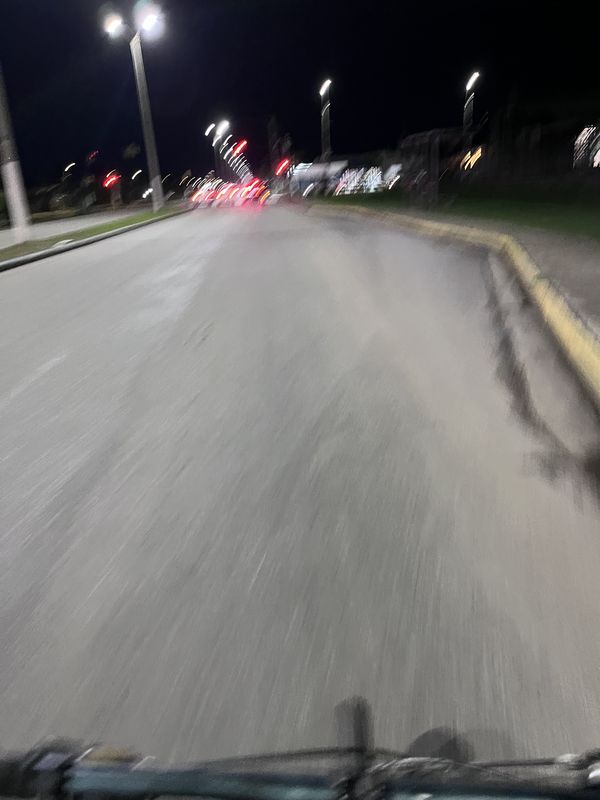 Día 3