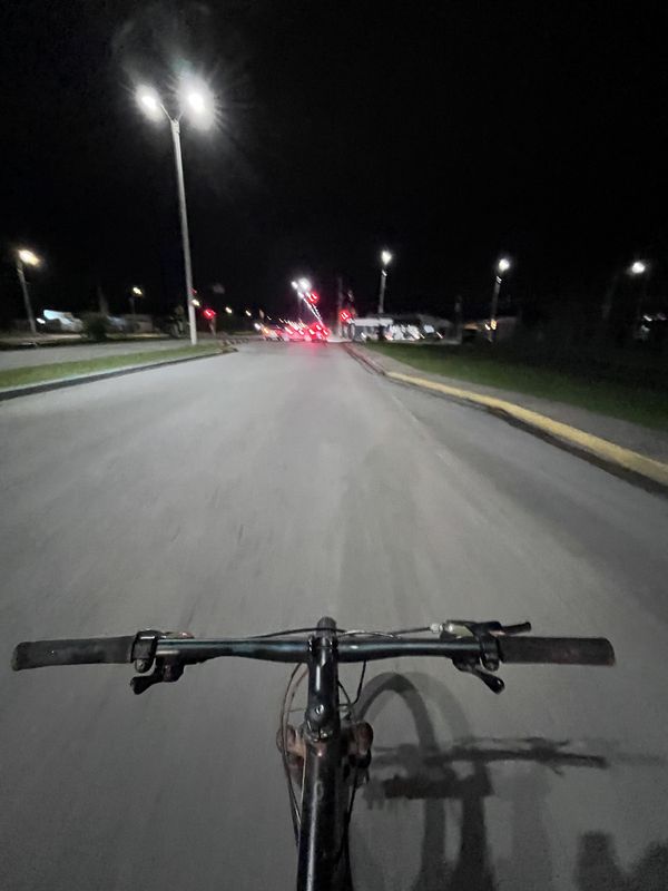 Día 3