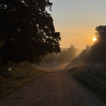Photo 7 of the Bikemap route "Digterparken, Ballerup to Digterparken, Ballerup" Photo 7 of the Bikemap route "Digterparken, Ballerup to Digterparken, Ballerup"