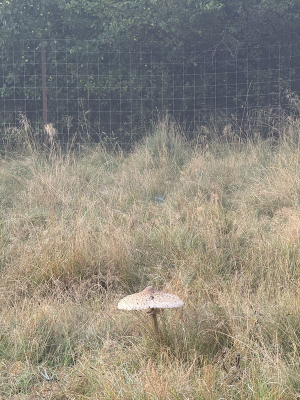 Digterparken, Ballerup to Digterparken, Ballerup