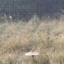 Digterparken, Ballerup to Digterparken, Ballerup