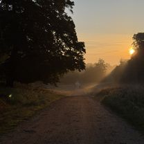 Photo 8 of the Bikemap route "Digterparken, Ballerup to Digterparken, Ballerup" Photo 8 of the Bikemap route "Digterparken, Ballerup to Digterparken, Ballerup"