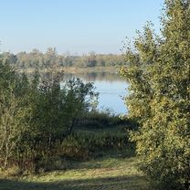 Wolska, Wola Aleksandra do Wolska, Wola Aleksandra